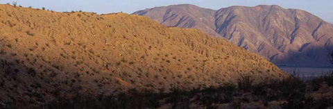 Photo of the north side of Lute Fault Scarp in morning light with Coyote Peak in the distance