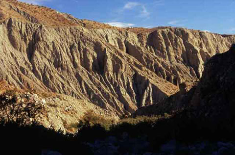 Photo of a mudtone wall of Smoke Tree Canyon