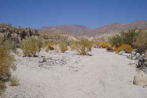 Photo of the broad sandy path of Smoke Tree Wash with the Santa Rosa Mountains in the distance
