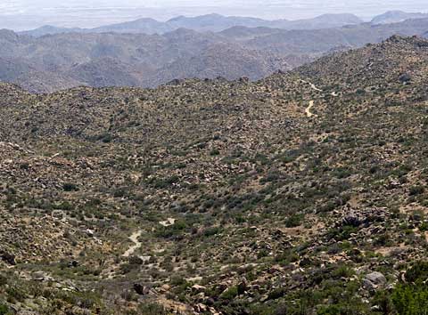 Photo of the old Army-Stagecoach road, a single lane dirt road that winds across the Jacumba Mountains. This view is from west to east and shows the desert in the distance.