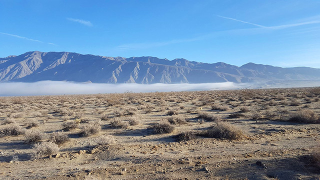 fog in coyote canyon anza-borrego desert