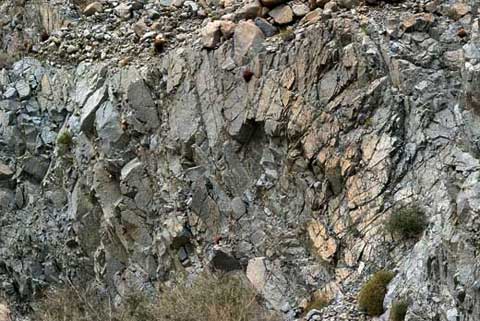 Photo of canyon wall