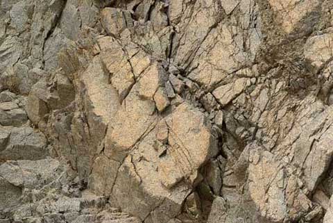 Closeup photo of canyon wall