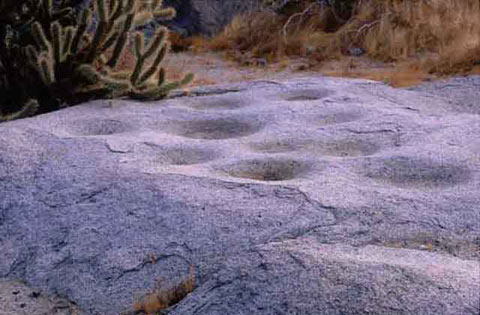 Photo of a large granite boulder with several bowl-shaped recesses called morteros. Indian women ground mesquite and other seeds in the morteros.