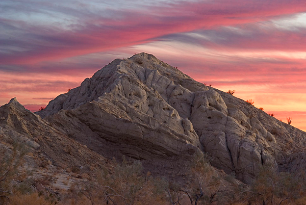 coachwhip canyon anza-borrego