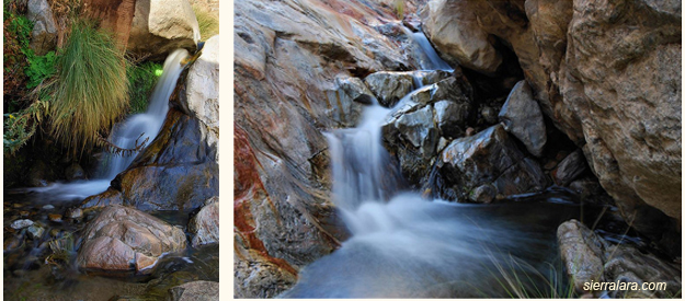 water flowing in palm canyon