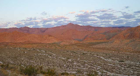 Photo of Bow Willow taken from Egg Mountain in morning light