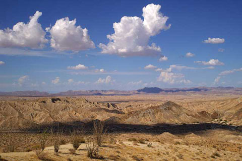 Photo of the Carrizo Badlands from the Carrizo Badlands Overlook showing the Canyon sin Nombre jeep trail, thick mesquite by Carrizo Creek, the Vallecito-Fish Creeek Badlands, and the distant Fish Creek Mountains