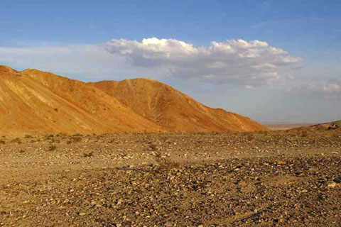 Photo of the Coyote Mountains in Painted Gorge