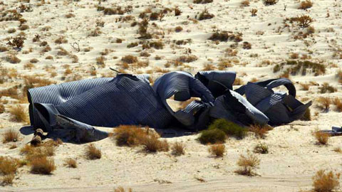 Photo of a drain pipe that would have carried rainwater in a wash under the tracks of the San Diego-Arizona Railroad until it was made unusuable by the hurricane-caused floods of the 1970s