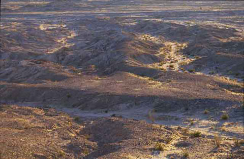 Photo of the rock surface of the ground at Yuha Basin which caused Anza to call it St. Rose of the Rocks