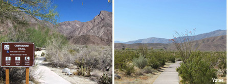 headquarters to visitor center trail anza borrego borrego springs