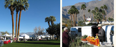 borrego springs farmers market